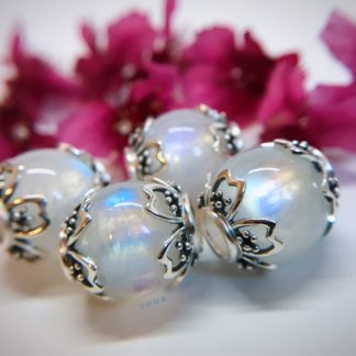 Moonlight Sonata-Sakura Movement