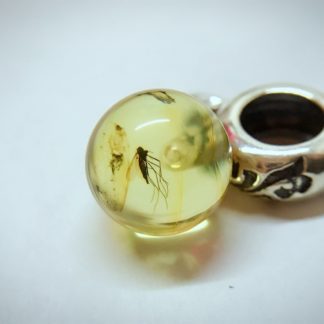 Starry Fossil Dangle