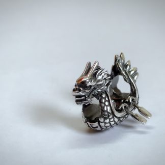 Dragon Boat (teamwork)