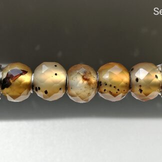 Psuedomorph Agate Set A