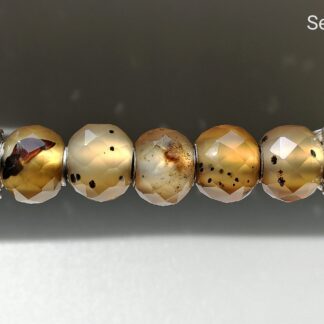 Psuedomorph Agate Set A