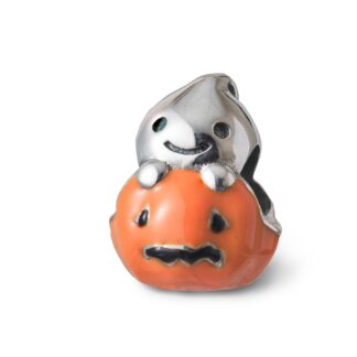 Little Ghost Pumpkin